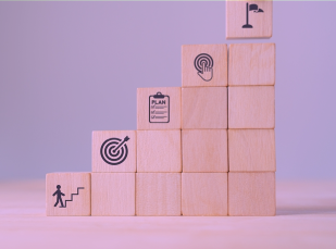 Individual leadership development programs